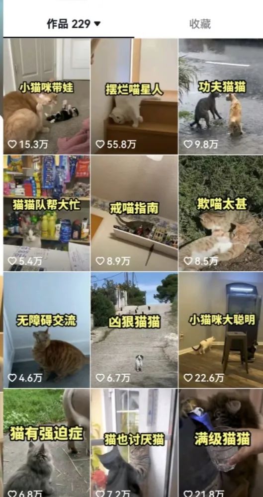 图片[3]-（6568期）拆解：抖音盘点类中视频变现副业项目，视频版一条龙大解析分享给你-生财有道