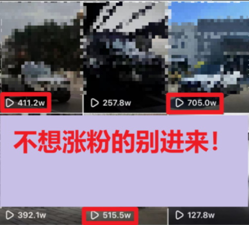 图片[2]-（6538期）一分钟700W播放 进来学完 你也能做到 保姆式教学 暴力变现（教程+83G素材）-生财有道