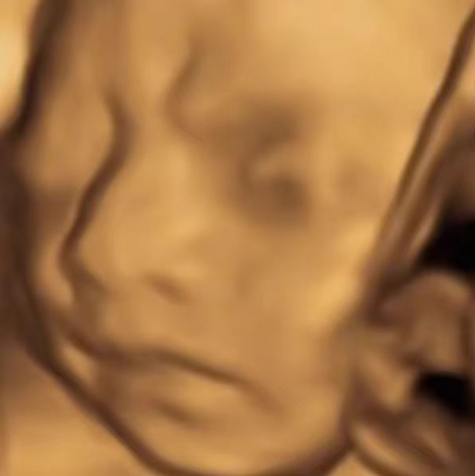 图片[2]-（7181期）AI四维彩超预测，一单9.9-98，3分钟出图，一天变现1000+-生财有道