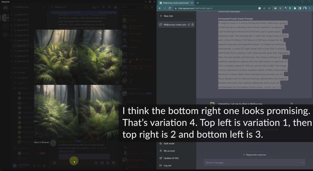 图片[5]-（8717期）摄影师 Daniel Laan 使用ChatGPT与Midjourney生成风光图像-中英字幕-生财有道