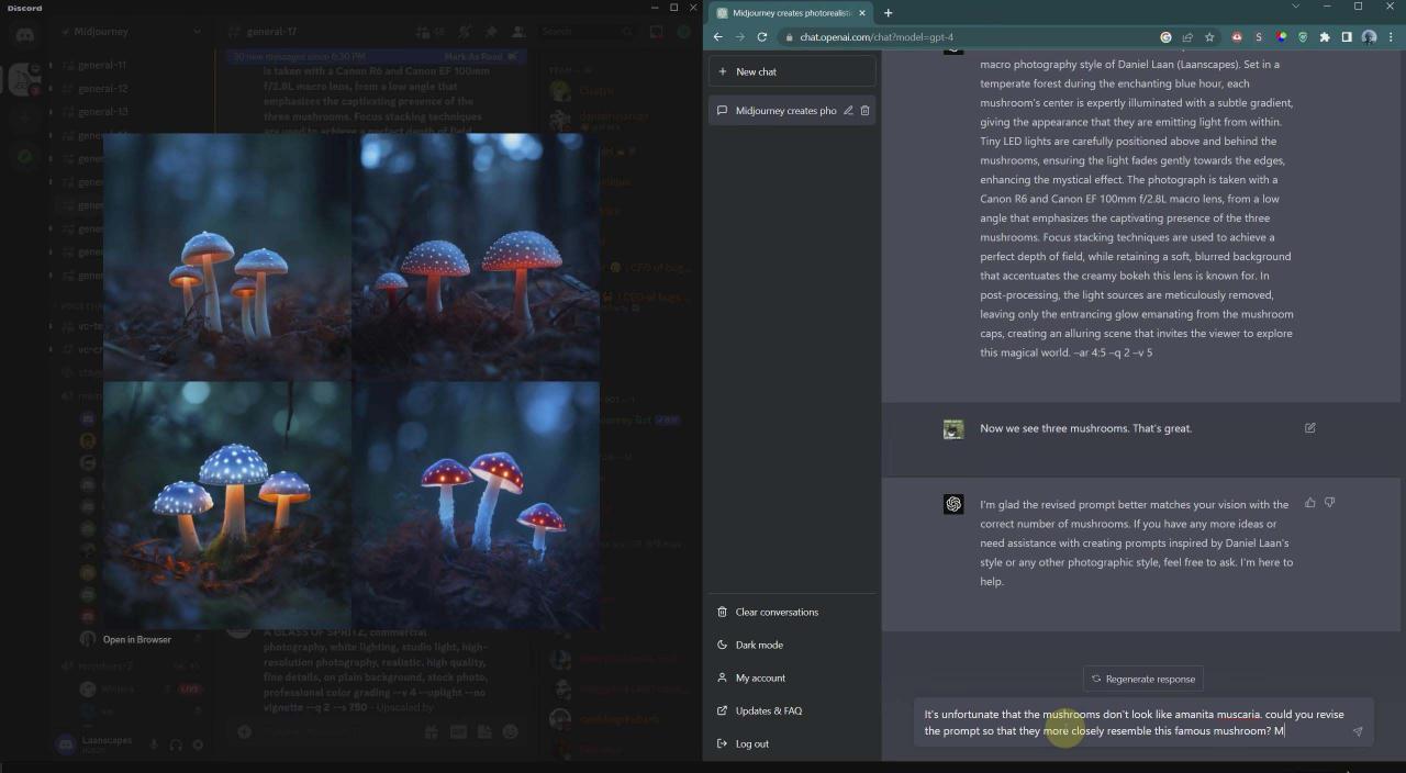 图片[6]-（8717期）摄影师 Daniel Laan 使用ChatGPT与Midjourney生成风光图像-中英字幕-生财有道