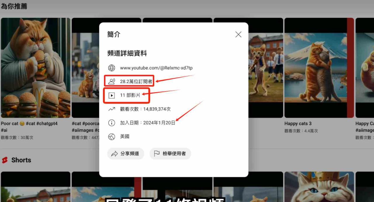 图片[2]-（9114期）AI貓咪剧情号，30天涨粉100w，制作简单，一个视频全网分发，轻松月入1W+-生财有道