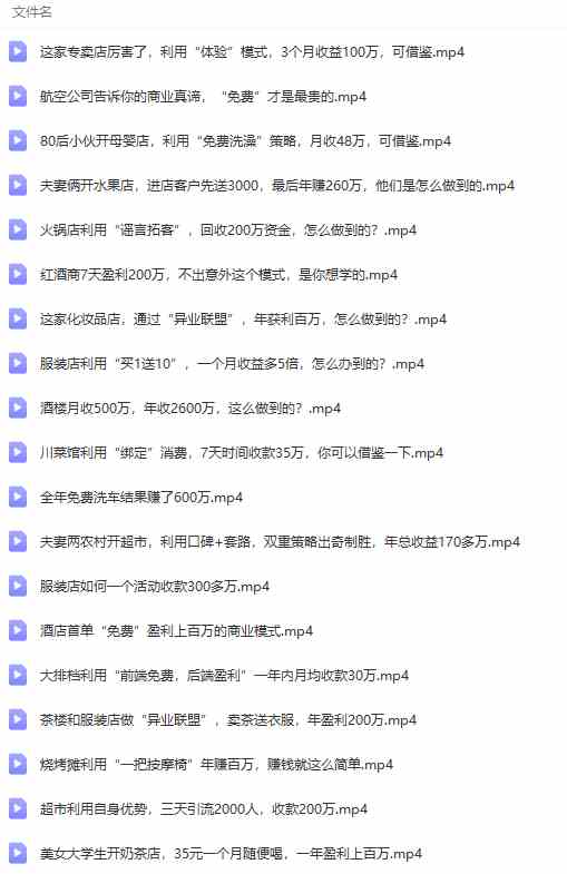 图片[8]-（9607期）真实有效391套商业模式，年入几十到几百万案例解析（电子书+视频+图文）-生财有道