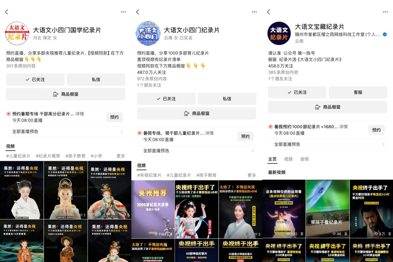 图片[2]-2024蓝海项目视频号儿童纪录片科普，单月收益5位数以上，新手小白可操作-生财有道