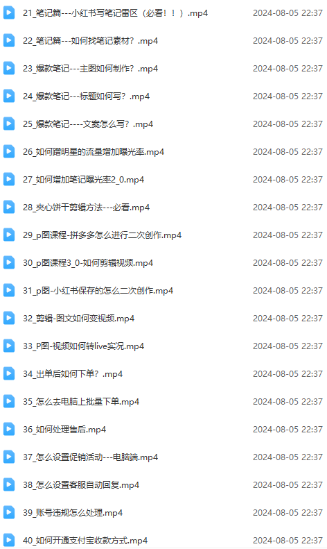 图片[3]-（12003期）2024小红书电商实战课：全体系打造 全方位梳理 小红书电商逻辑体系 (42节)-生财有道