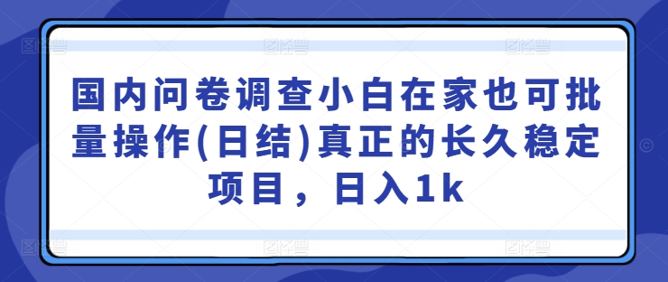 国内问卷调查小白在家也可批量操作(日结)真正的长久稳定项目，日入1k【揭秘】——生财有道创业网