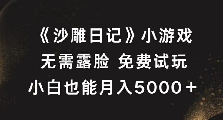 《沙雕日记》小游戏，无需露脸免费试玩，小白也能月入5000+【揭秘】——生财有道创业网