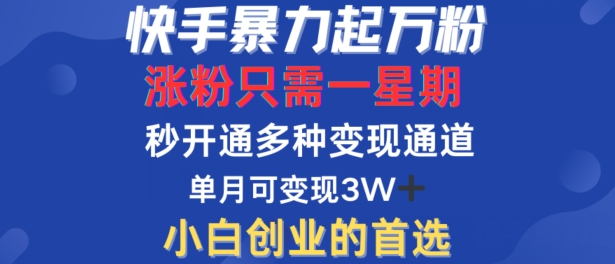快手暴力起万粉，涨粉只需一星期，多种变现模式，直接秒开万合，单月变现过W【揭秘】——生财有道创业网