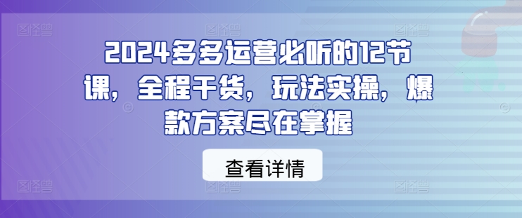 2024多多运营必听的12节课，全程干货，玩法实操，爆款方案尽在掌握——生财有道创业网