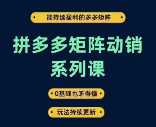 拼多多矩阵动销系列课，能持续盈利的多多矩阵，0基础也听得懂，玩法持续更新——生财有道创业网