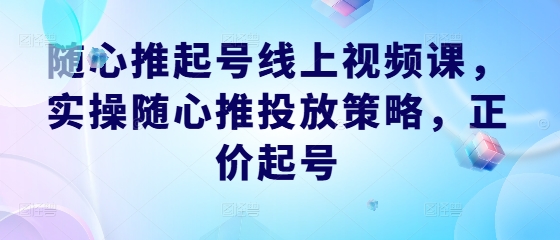随心推起号线上视频课，实操随心推投放策略，正价起号——生财有道创业网