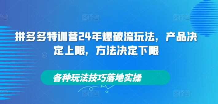拼多多特训营24年爆破流玩法，产品决定上限，方法决定下限，各种玩法技巧落地实操——生财有道创业网