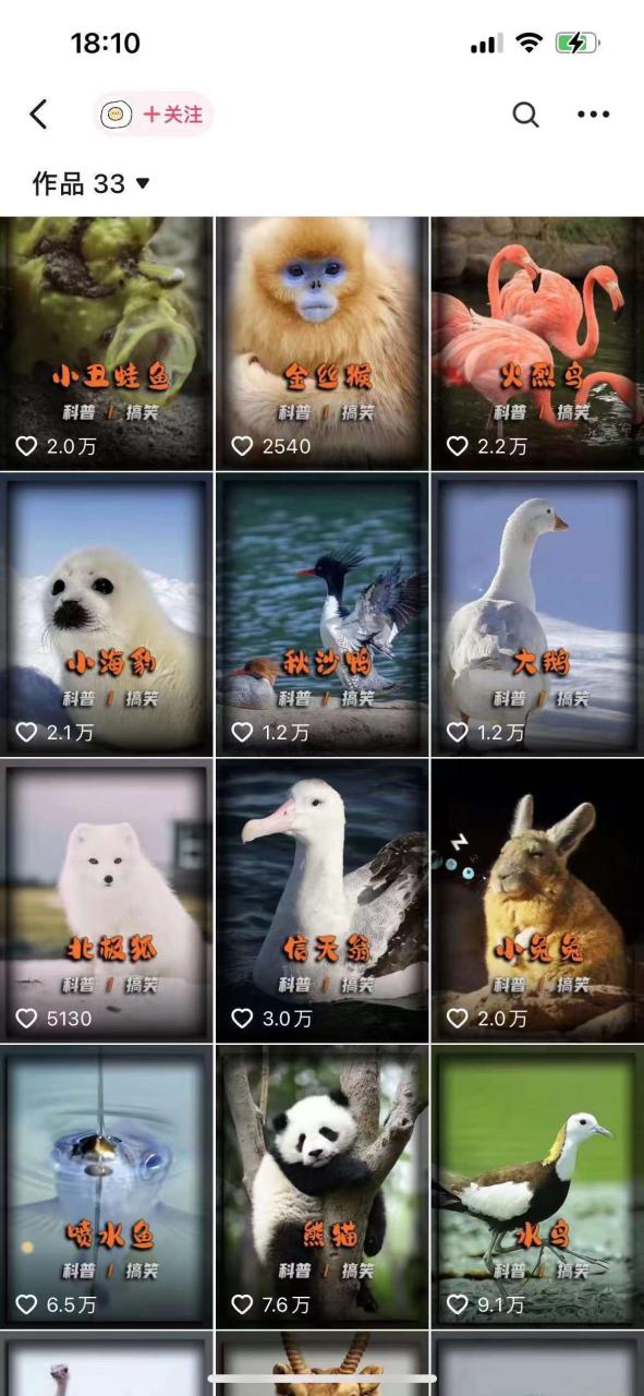 图片[2]-动物科普解说项目，撸创作者伙伴计划收益，保姆级实战教程——生财有道创业网-生财有道