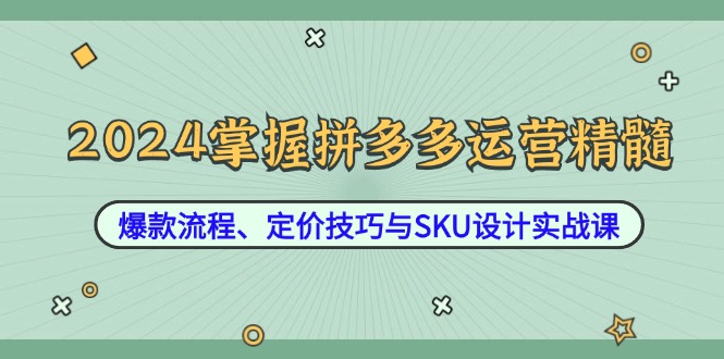 （12703期）2024掌握拼多多运营精髓：爆款流程、定价技巧与SKU设计实战课_生财有道创业网