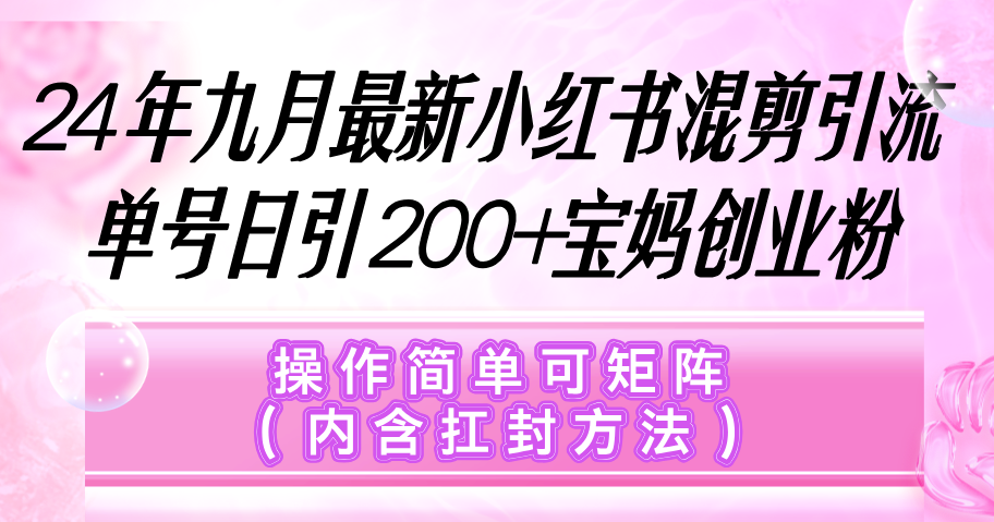 （12530期）小红书混剪引流，单号日引200+宝妈创业粉，操作简单可矩阵（内含扛封…_生财有道创业网