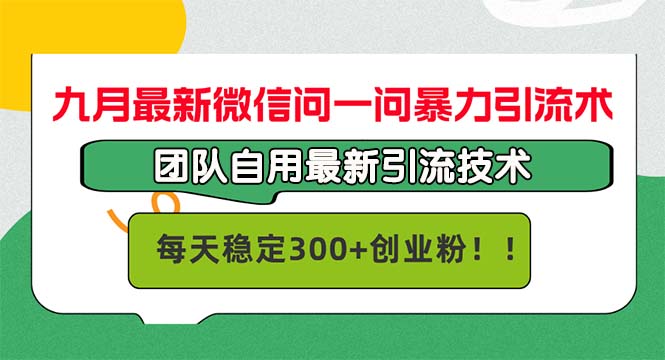 （12735期）九月最新微信问一问暴力引流术，团队自用引流术，每天稳定300+创…_生财有道创业网