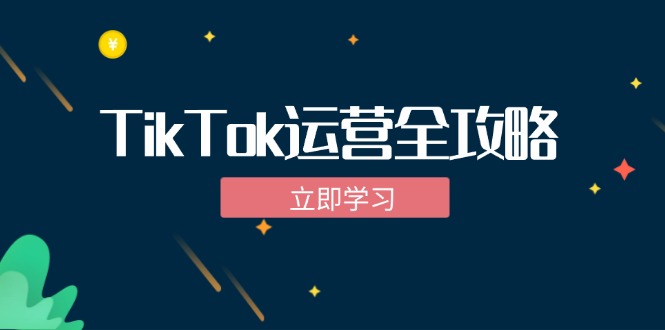 （12739期）TikTok实战运营全攻略：从下载软件到变现，抖音海外版实操教程_生财有道创业网