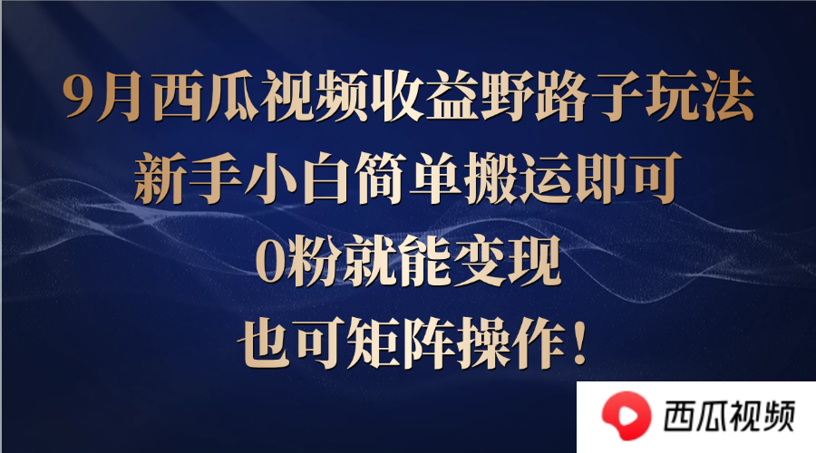 （12760期）西瓜视频收益野路子玩法，新手小白简单搬运即可，0粉就能变现，也可矩…_生财有道创业网