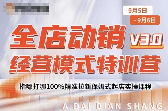 全店动销经营模式特训营，指哪打哪100%精准拉新保姆式起店实操课程——生财有道创业项目网