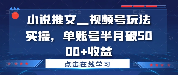 小说推文—视频号玩法实操，单账号半月破5000+收益——生财有道创业项目网