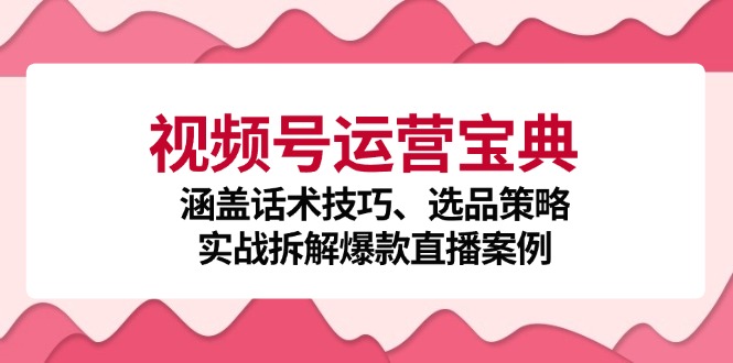 （12808期）视频号运营宝典：涵盖话术技巧、选品策略、实战拆解爆款直播案例_生财有道创业项目网
