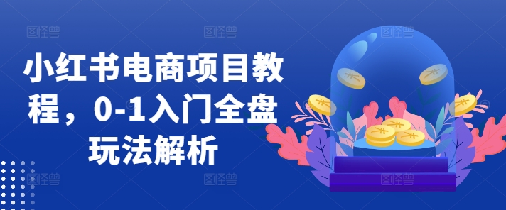小红书电商项目教程，0-1入门全盘玩法解析——生财有道创业项目网