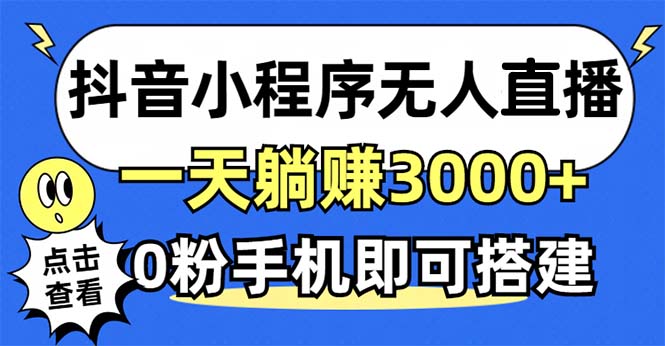 （12988期）抖音小程序无人直播，一天躺赚3000+，0粉手机可搭建，不违规不限流，小…_生财有道创业项目网