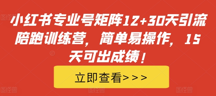 小红书专业号矩阵12+30天引流陪跑训练营，简单易操作，15天可出成绩!——生财有道创业项目网