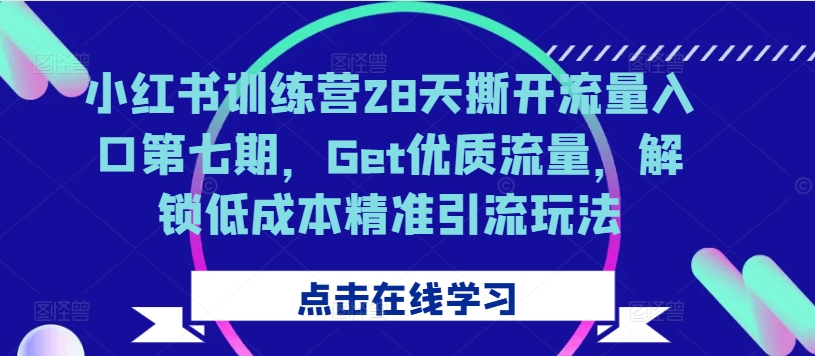 小红书训练营28天撕开流量入口第七期，Get优质流量，解锁低成本精准引流玩法——生财有道创业项目网