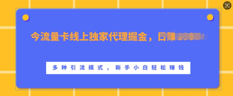 流量卡线上独家代理掘金，日入1k+ ，多种引流模式，新手小白轻松上手【揭秘】——生财有道创业项目网