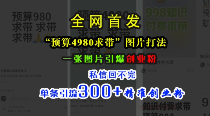 小红书“预算4980带我飞”图片打法，一张图片引爆创业粉，私信回不完，单条引流300+精准创业粉——生财有道创业项目网