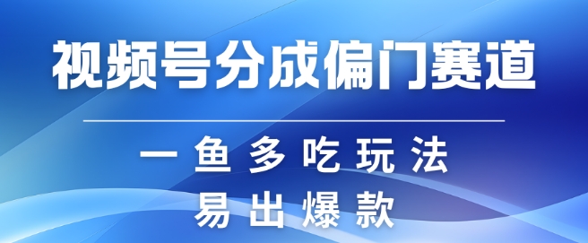 视频号创作者分成计划偏门类目，容易爆流，实拍内容简单易做【揭秘】_生财有道创业网
