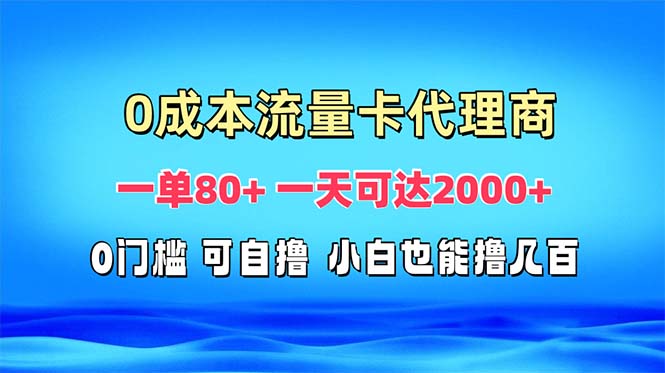 （13391期）免费流量卡代理一单80+ 一天可达2000+_生财有道创业项目网
