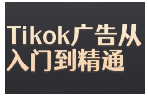 Tiktok Ads实操教程，Tiktok广告从入门到精通_生财有道创业网