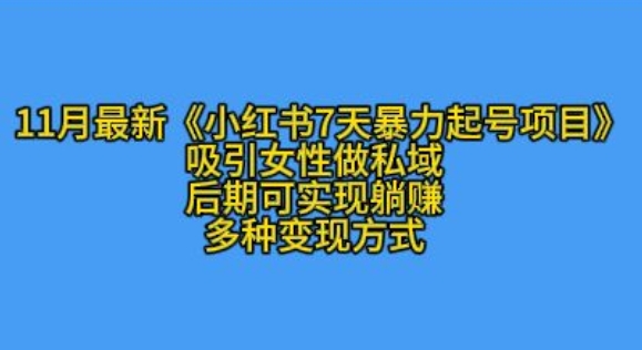 K总部落11月最新小红书7天暴力起号项目，吸引女性做私域【揭秘】_生财有道创业网